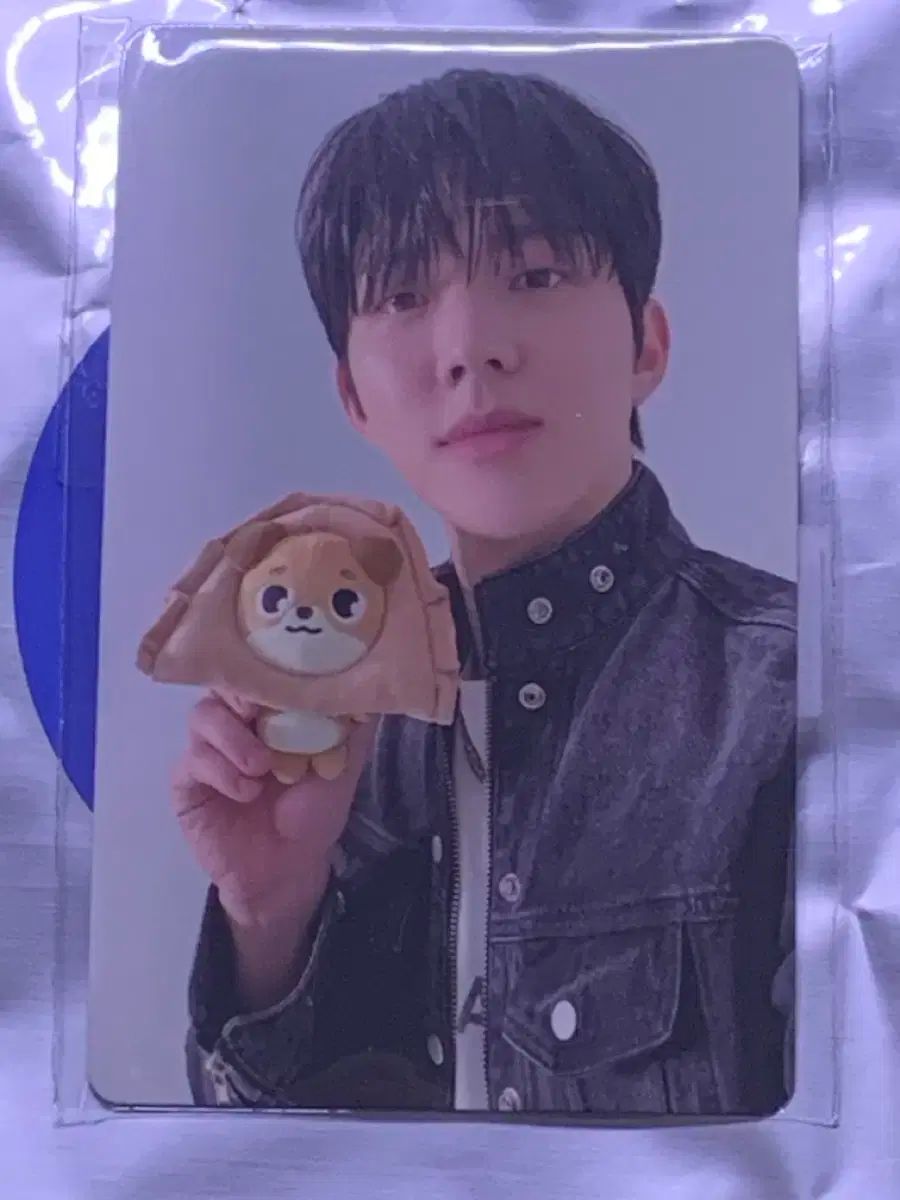 DAY6 デニマルズ ドウン DON トレカ　DOWOON DAY6 - PERFECT DAY6 [DICON Issue N°27 - DOWOON] - K PLACE