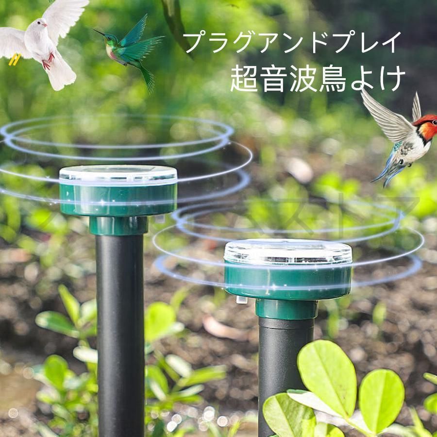 煎茶 水注 茶道具 水注 水差し 煎茶道 木箱付