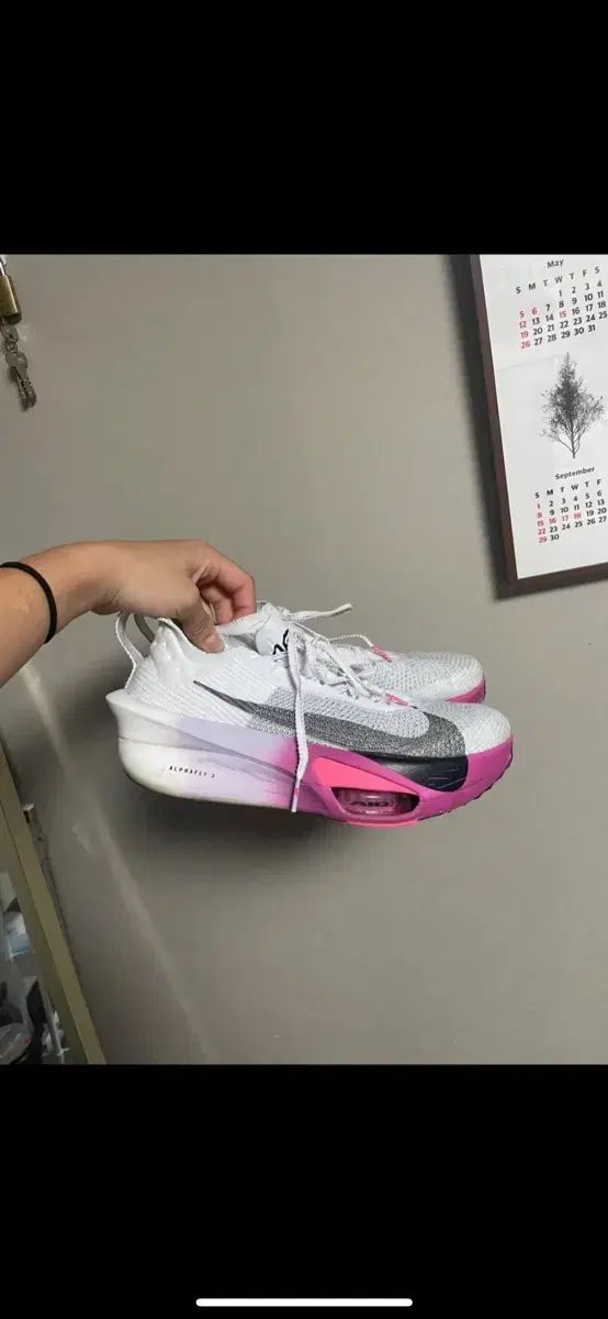 NIKE ナイキ アルファフライ 3 260 サイズ