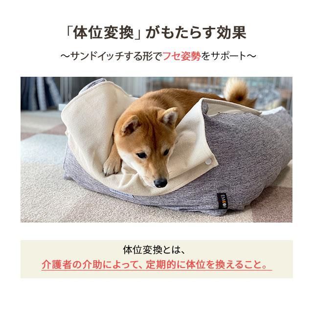 犬 猫