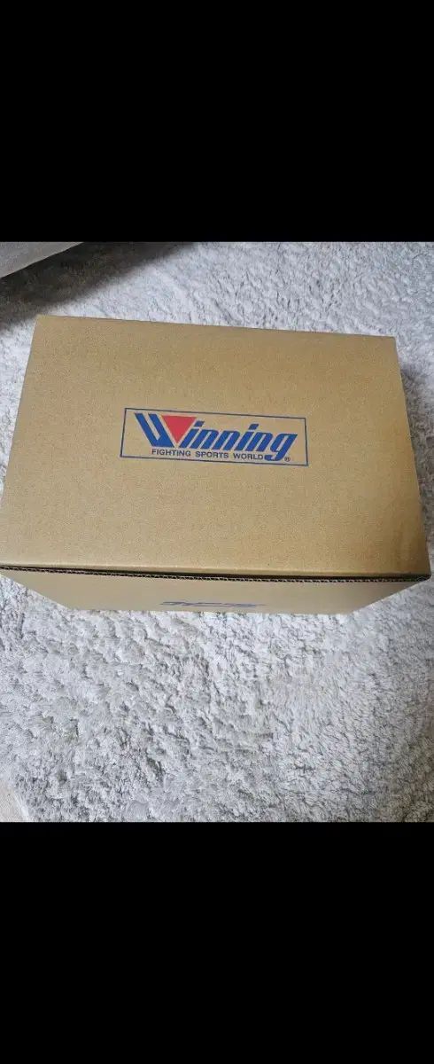 脚の付け根 L