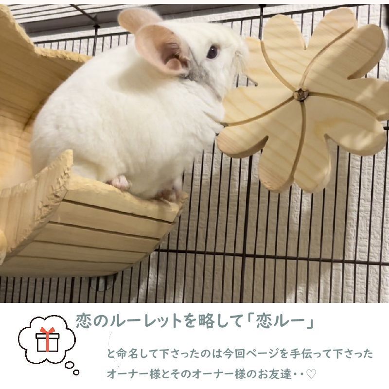 10cm】くるくる回る 花 齧り木 回して遊ぶ 恋ルー 木製 チンチラ