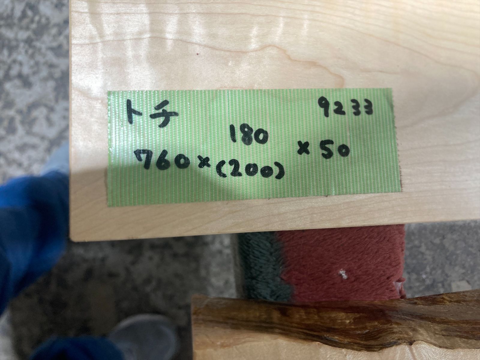 トチ9232-9233 トチの木