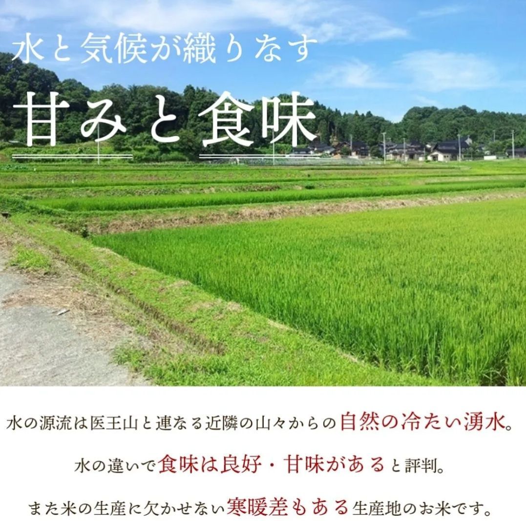 農家直送】石川県産 令和4年9月収穫 新米 こしひかり 玄米 30kg - 石川