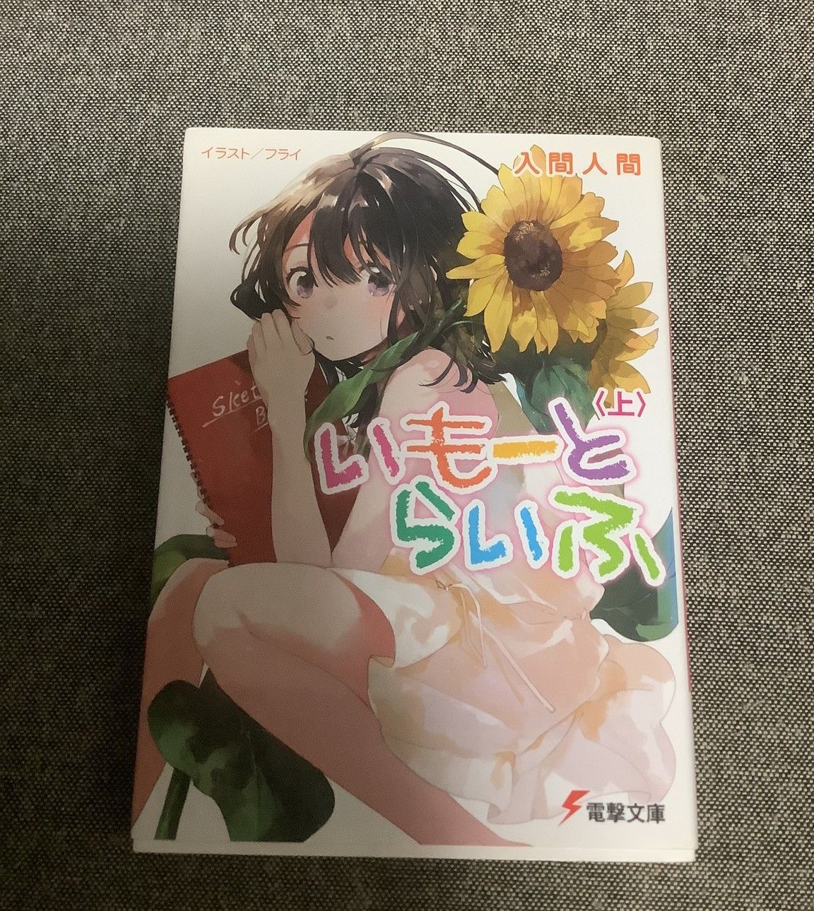 電撃文庫ライトノベル いもーとらいふ 上下巻 入間人間 ■2000 いもーとらいふ <下>」入間人間 [電撃文庫] - KADOKAWA