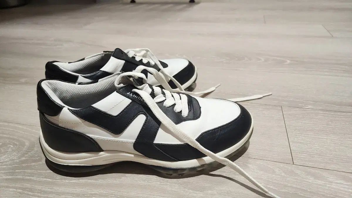 NIKE GOLF ナイキゴルフ DM8446-014 ゴルフシューズ ブラック系