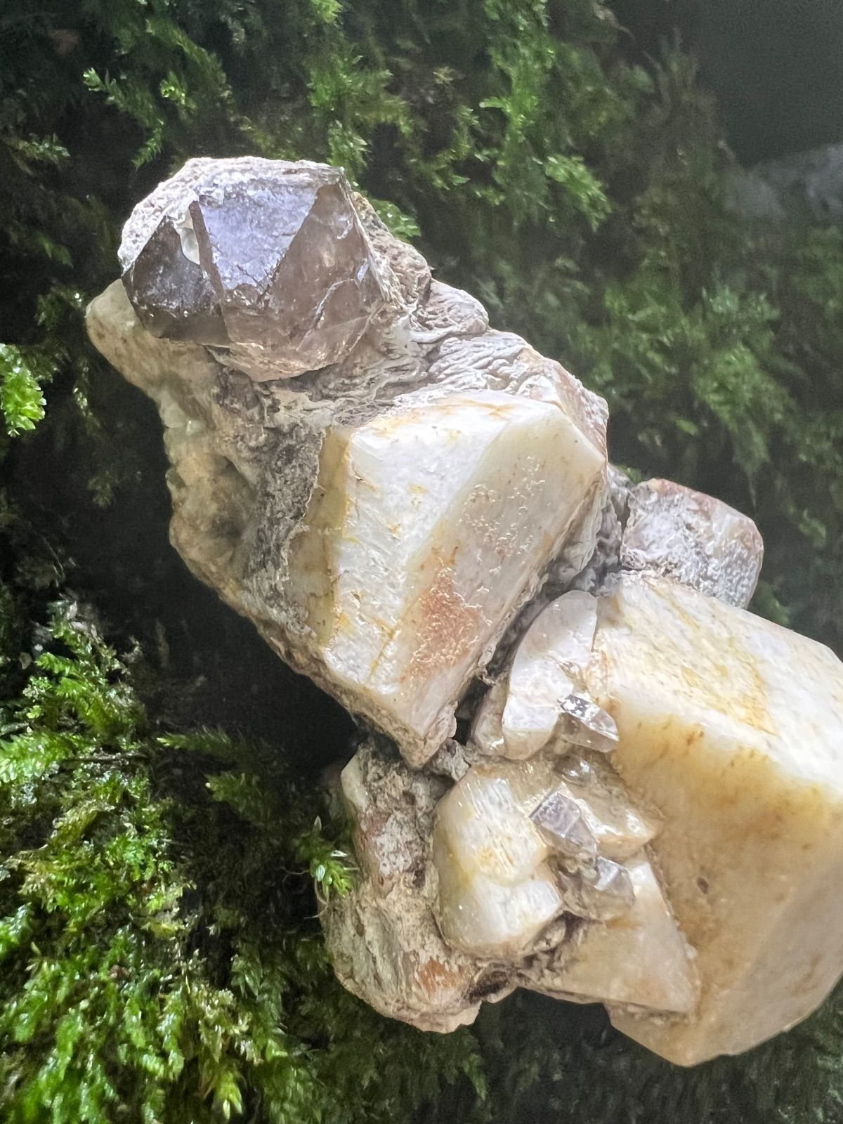 龍脈の精髄 ― 宮崎産 煙水晶&長石共生標本 大地と祓いの調和 保護猫活動支援