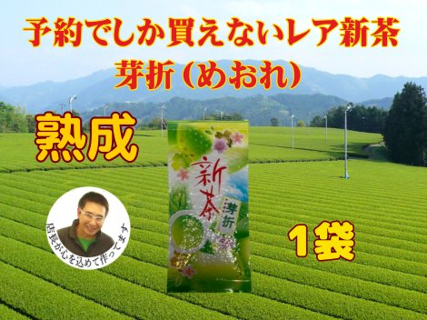 お歳暮 全国 送料無料 健康 美味しい美味しい 新茶 熟成 緑茶 お茶  美味しい水出しも作れます芽折茶　100ｇ　安くてめちゃめちゃ美味しい 入荷しました