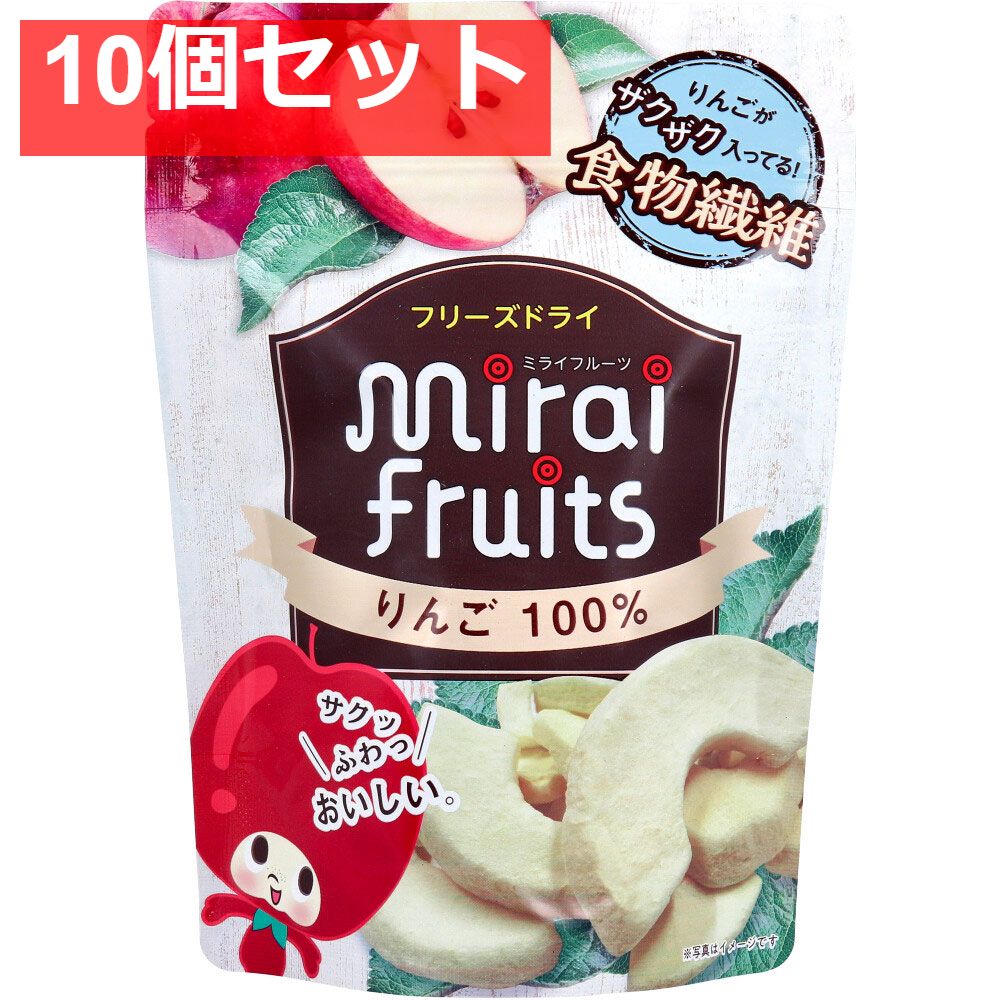 ミライフルーツ りんご 10g 10個セット まとめ売り