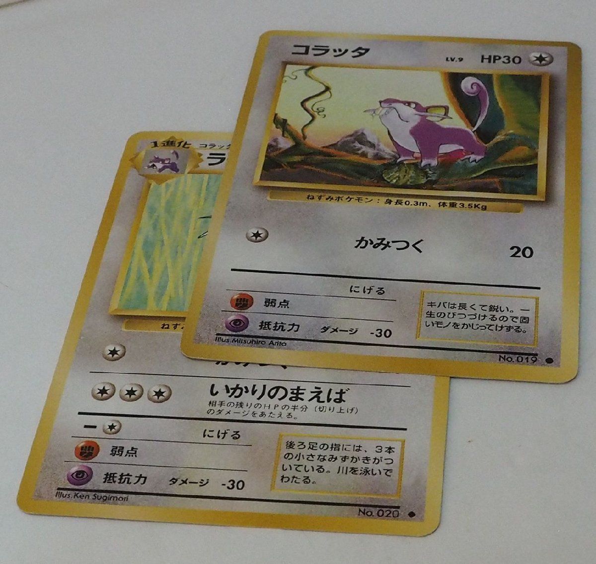 PSA10鑑定済〕コラッタLV.9(マークなし)【-】{旧裏}