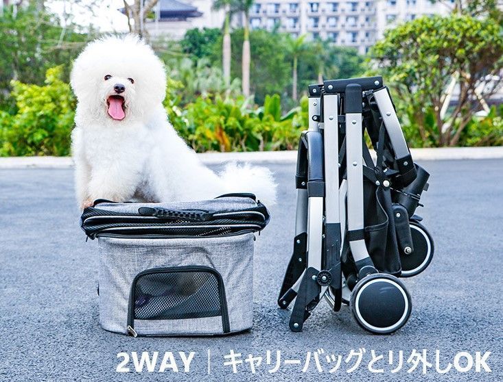 中型犬