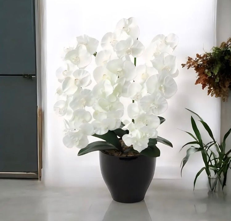 光触媒 人工観葉植物 ウォールグリーン フェイクグリーン プレミアム