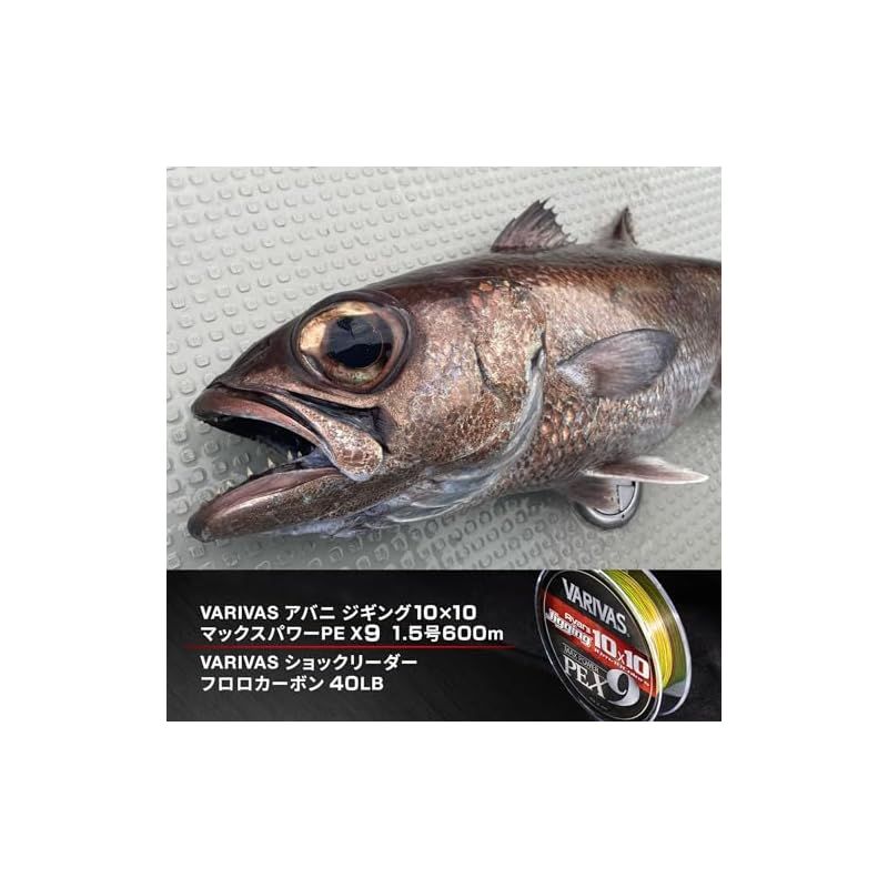 マックスパワーPE X9