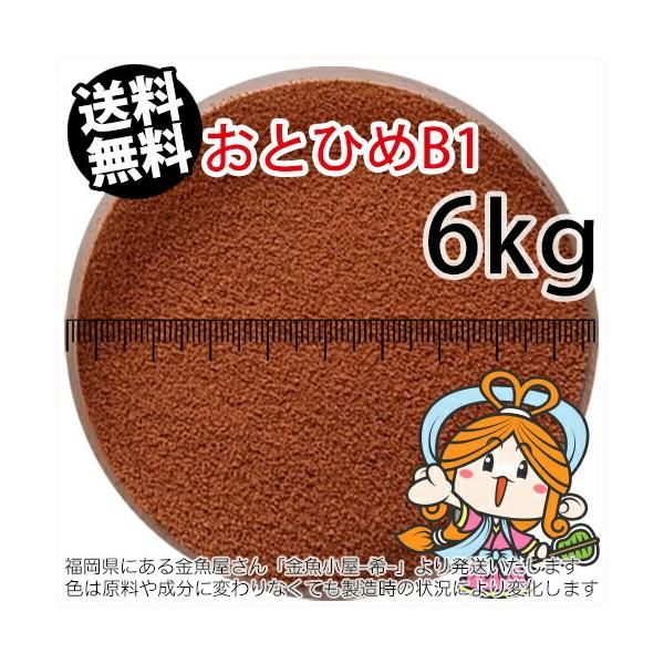 沈降性(沈下性)日清丸紅飼料おとひめB1(0.2~0.36mm)6kg小分け品(宅配便※東北北海道沖縄発送不可／金魚小屋-希-福岡／3日)