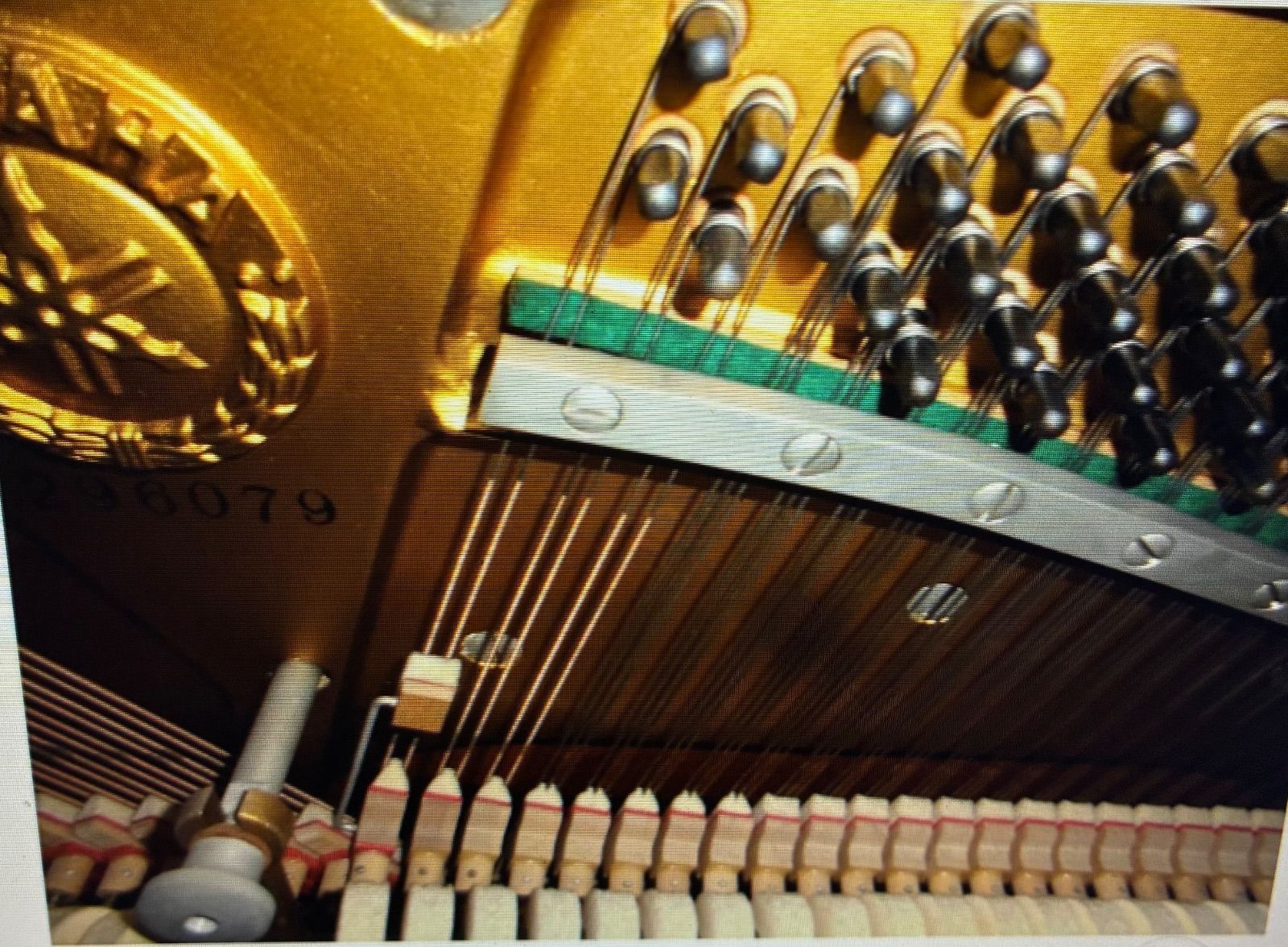 ウォールナット半艶消しの 運賃無料