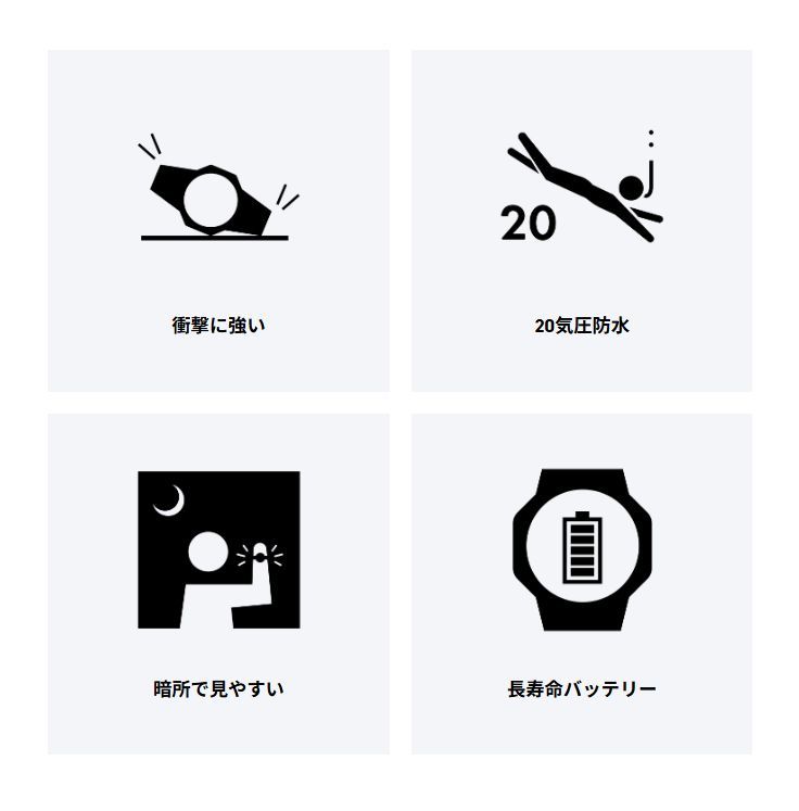 CASIO