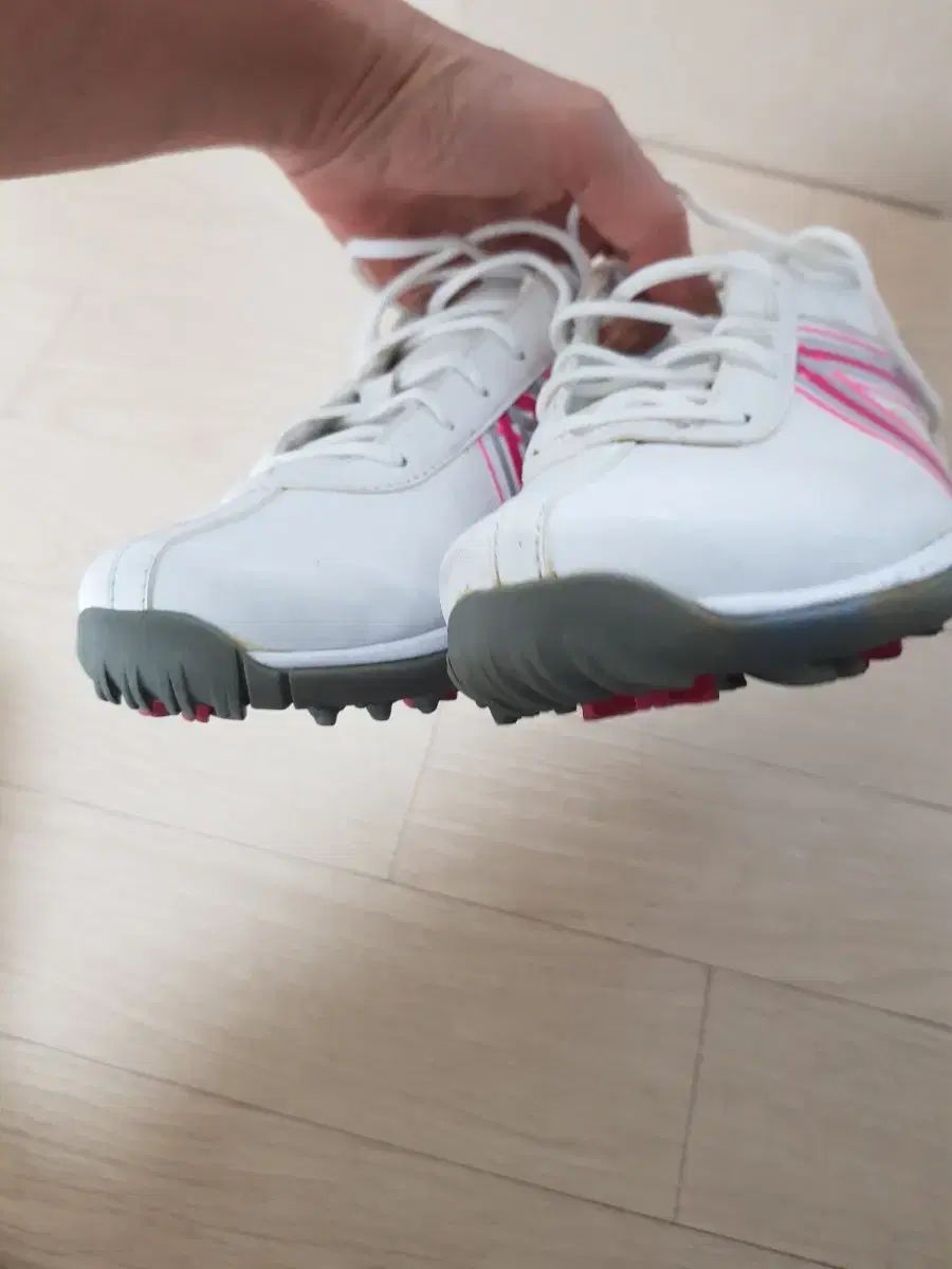 245 おすすめ