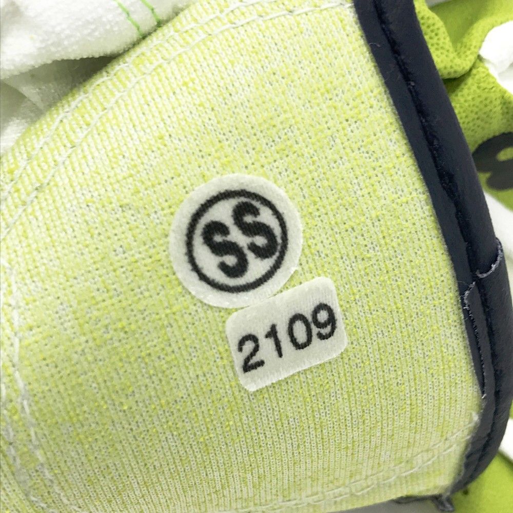 2185104 両手グローブ