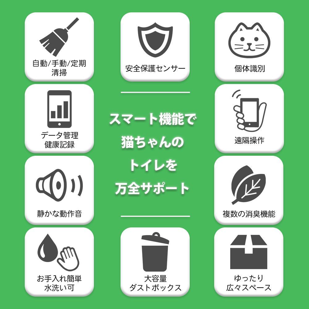 版