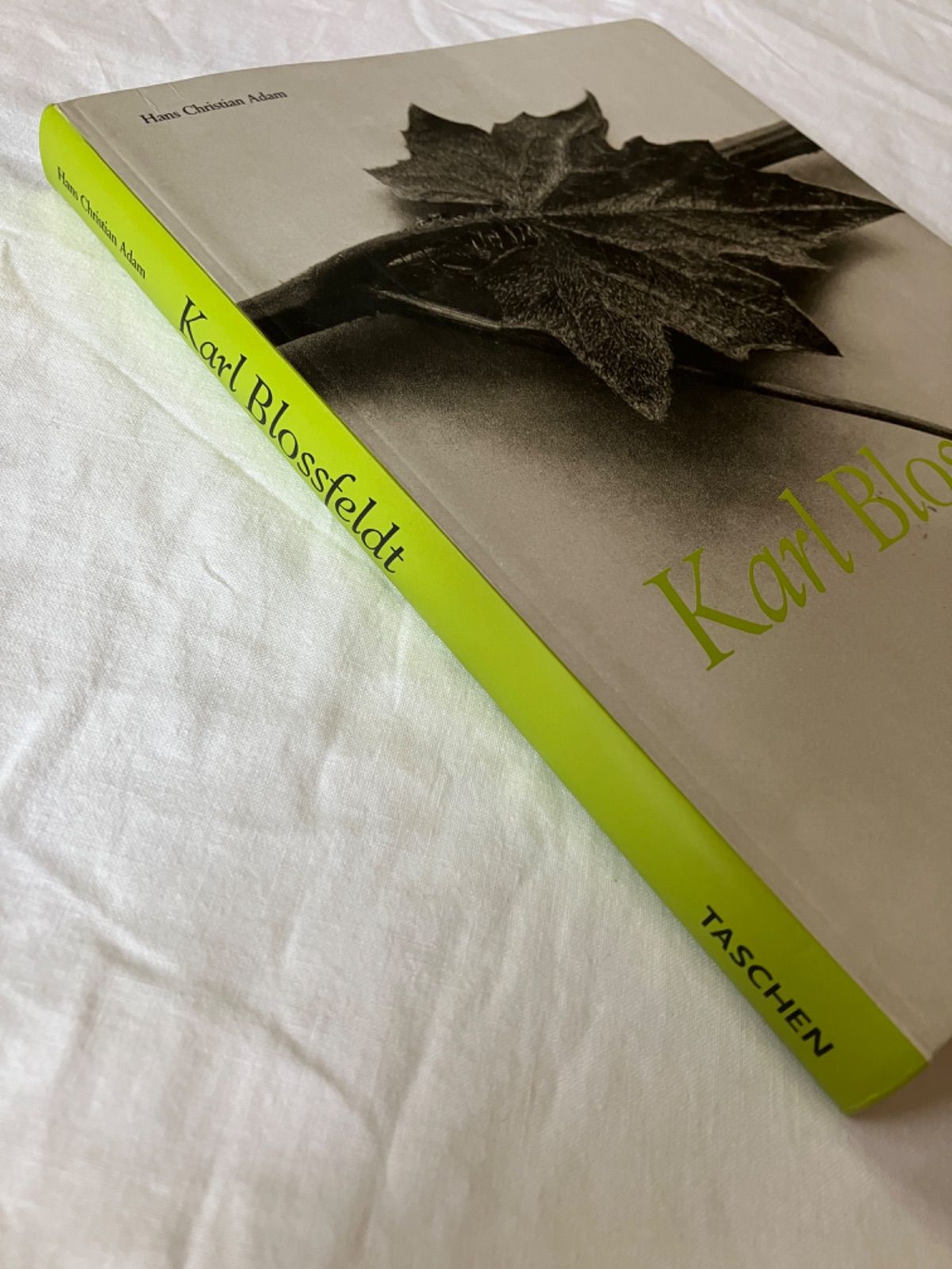 カール・ブロスフェルト 写真集 Karl Blossfeldt - メルカリ