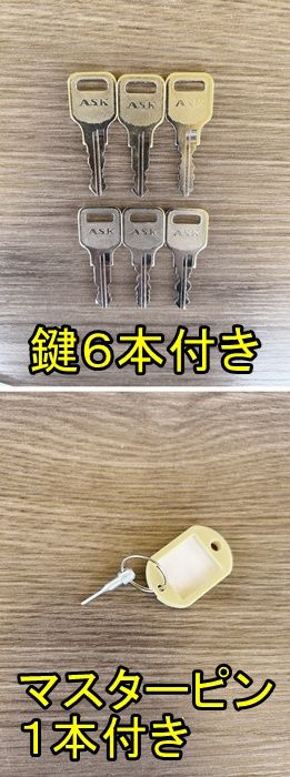 両用タイプ