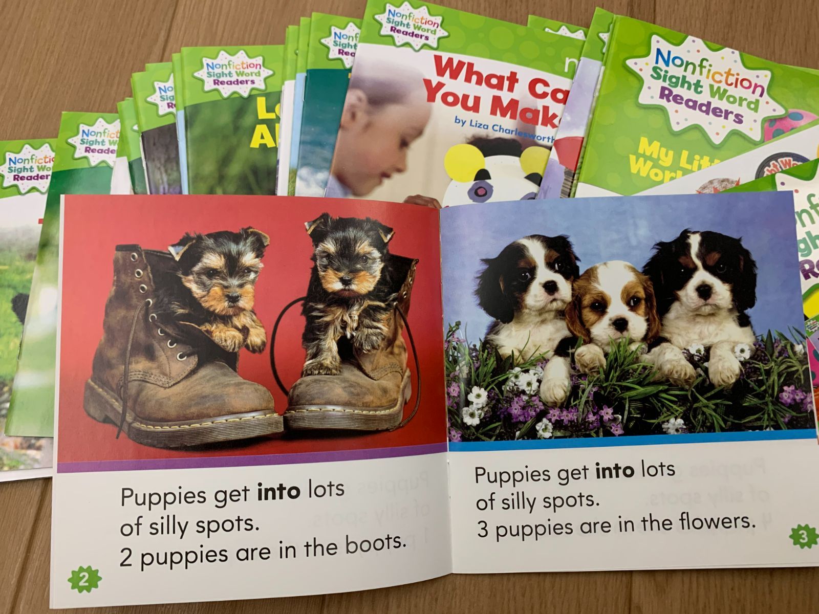 Nonfiction Sight Word Readers マイヤペン対応 Nonfiction Sight Word Reader 100冊 Maiyapen対応 マイヤペン