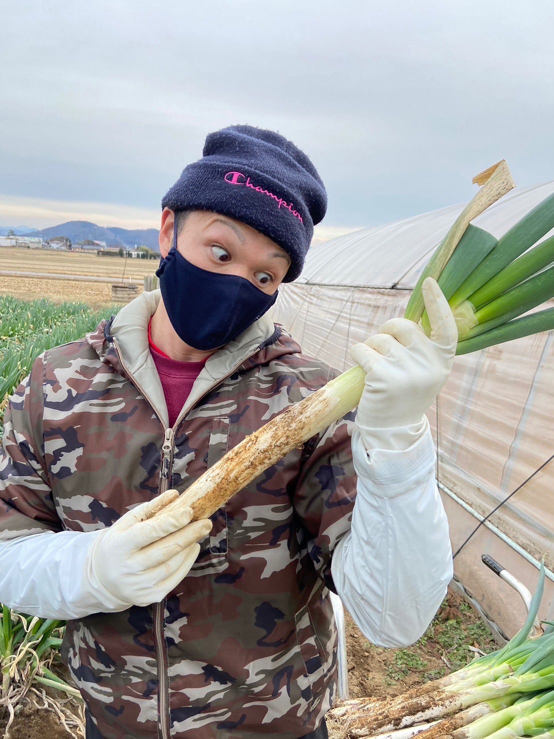 太っちゃん屋の極うま長ねぎ　皮むき15kg 太っちゃん屋の極うま長ねぎ 皮むき15kg