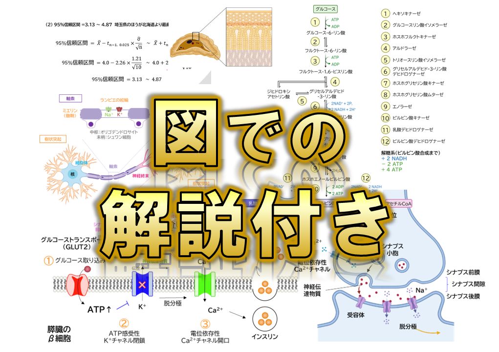 秋田大学】2024〜2017年度 解答解説 医学部学士編入 - メルカリ