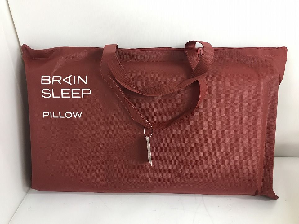 BRAIN SLEEP