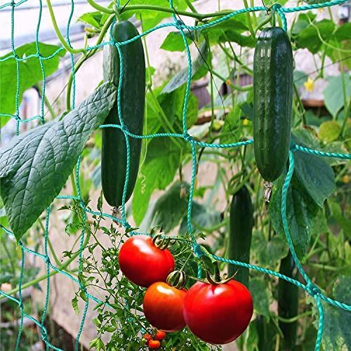 グーリン 2m*10m siawadeky 園芸ネット つる植物 ネット 2m*10m つる