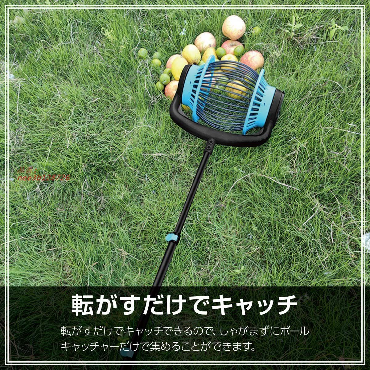 テニスボール ゴルフボール