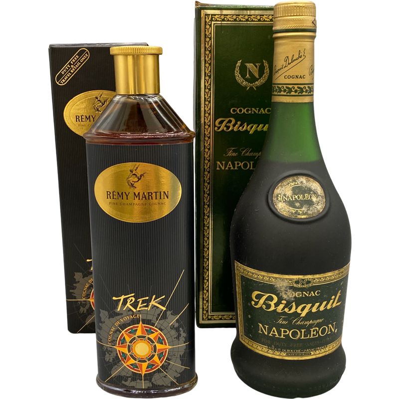 REMY MARTIN(レミーマルタン) 2本セット レミーマルタン 2本セット 【公式通販】