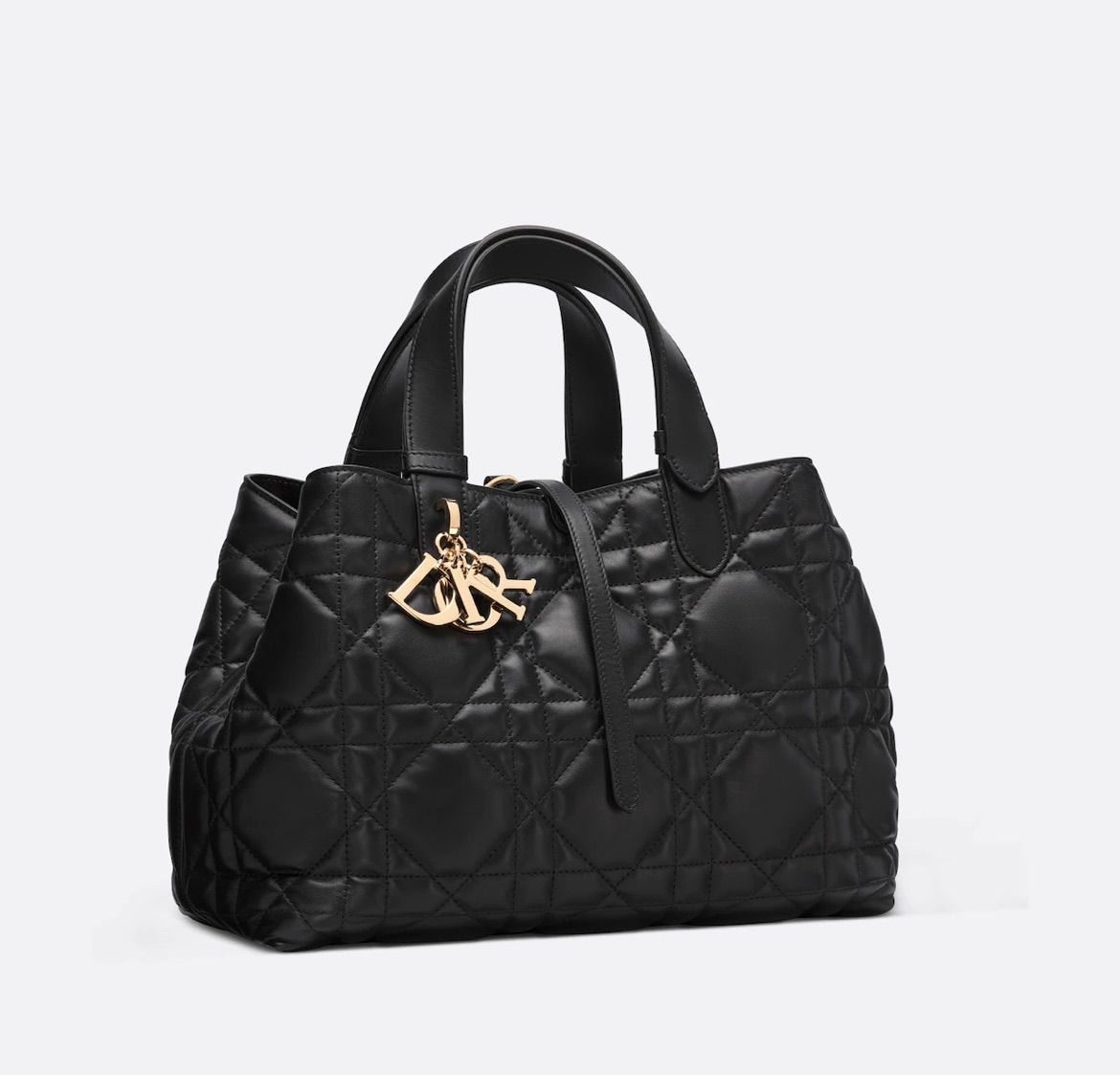 新品 定価以下 Christian Dior ディオール DIOR TOUJOURS バッグ