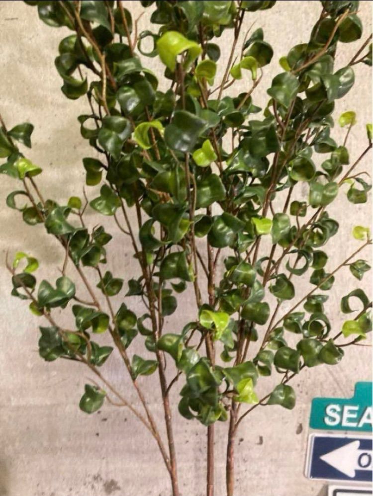 光触媒 人工観葉植物 ウォールグリーン フェイクグリーン ベンジャミン