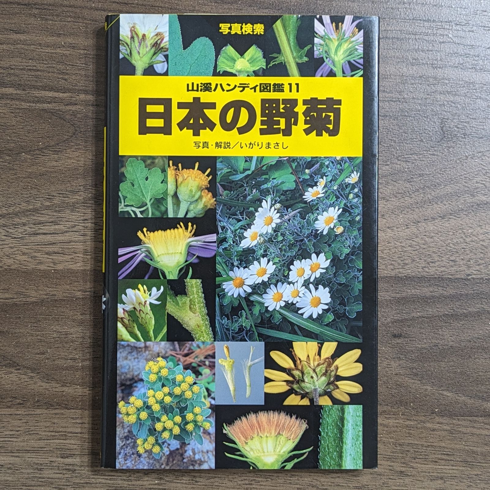 日本の野菊（ダメージあり） - メルカリ