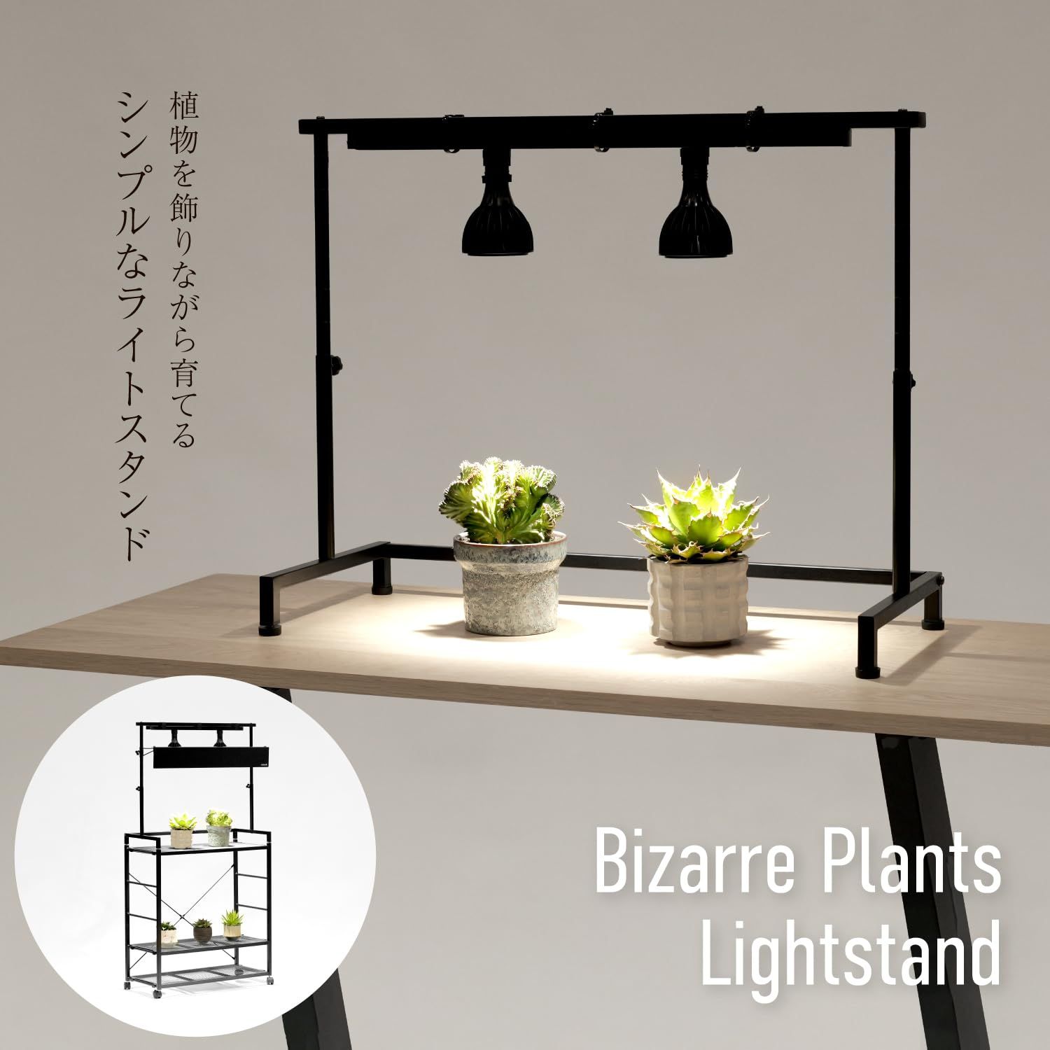 BIBILAB(ビビラボ) ビザールプランツラック LPR-800-BK 植物 ビザールプランツラック LPR-800-BK ブラック BIBILAB 植物