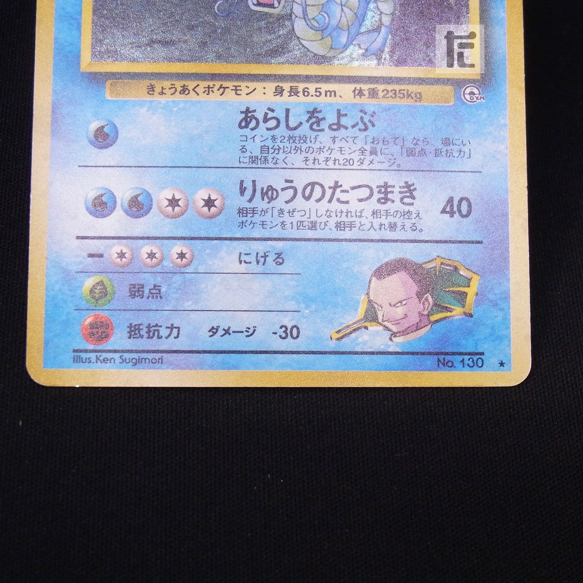 サカキのギャラドス LV.40 / TA23394 - メルカリ