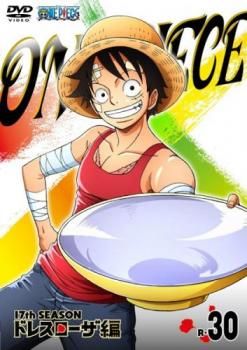 全巻セット【中古】DVD▼ONE PIECE ワンピース 17thシーズン ドレスローザ編(30枚セット)第629話～第746話 レンタル落ち ONE PIECE ワンピース 17thシーズン ドレスローザ編 全30枚 第