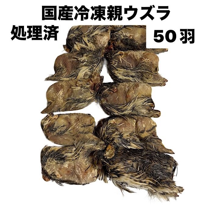 限定大特価 冷凍ウズラ180羽 送料無料 福袋 【公式通販】