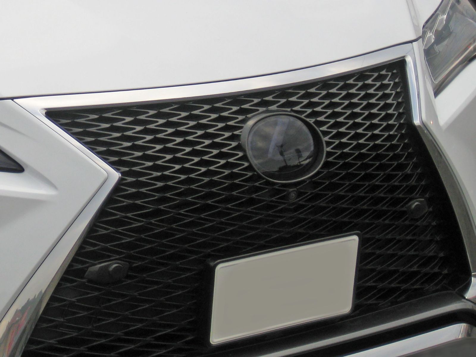 Tint+カット済み エンブレム スモークフィルム レクサスRX 20系(スモーク20％ 前後セット) RX200t/RX350/RX450h AGL20W/GGL20W/GYL20W型