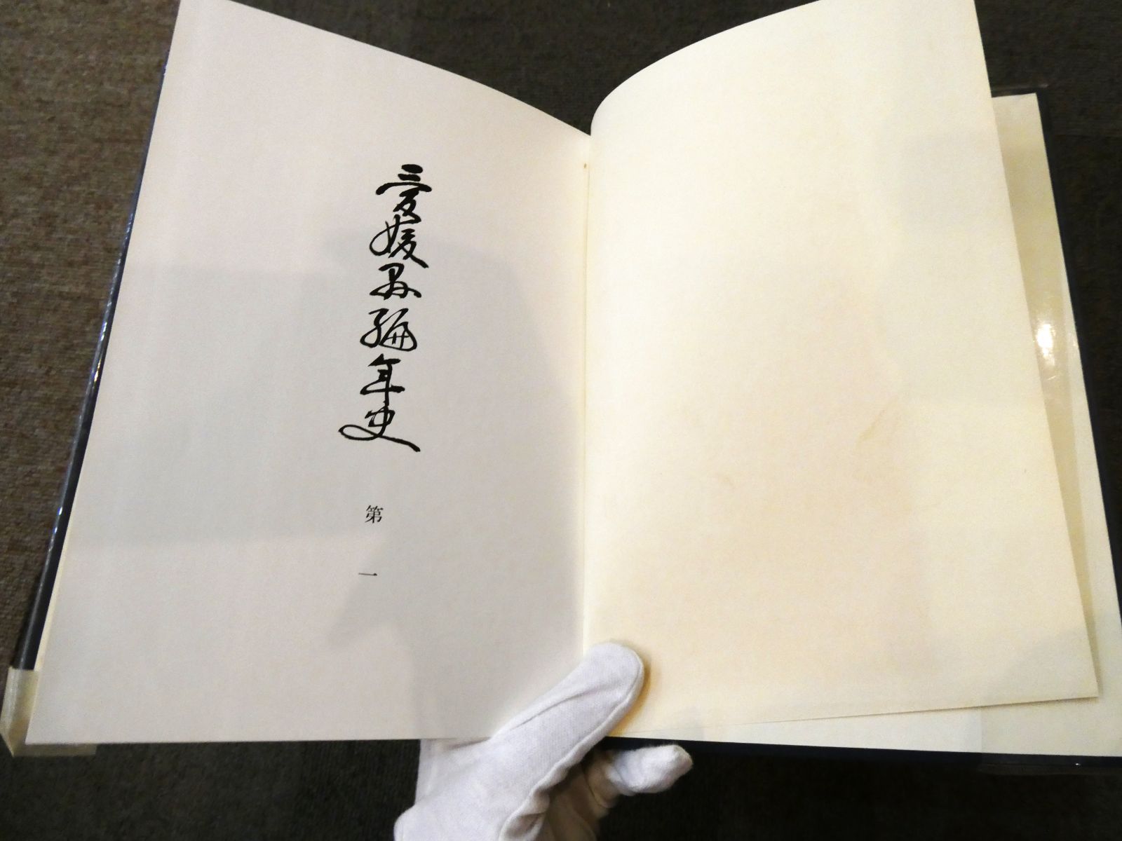 愛媛県編年史　1巻～9巻（10巻目が抜けあり） 愛媛県編年史 1巻～9巻セット （10巻目が抜けあり） - メルカリ