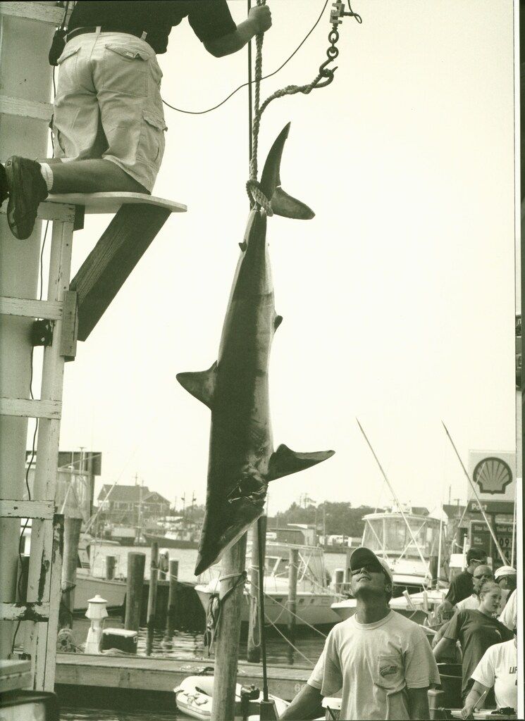 アート・デザイン・音楽 THE END: MONTAUK, N.Y. by MICHAEL