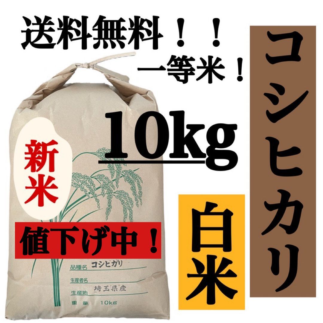 白米 10kg コシヒカリ 新米 埼玉県産 令和5年産 送料無料 米 10キロ