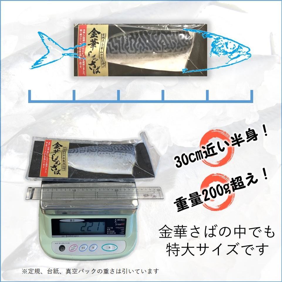 さば 宮城県三陸産 金華しめさば 石巻 ブランド鯖 こだわり製法 特大さば