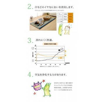 ノア40らくらく