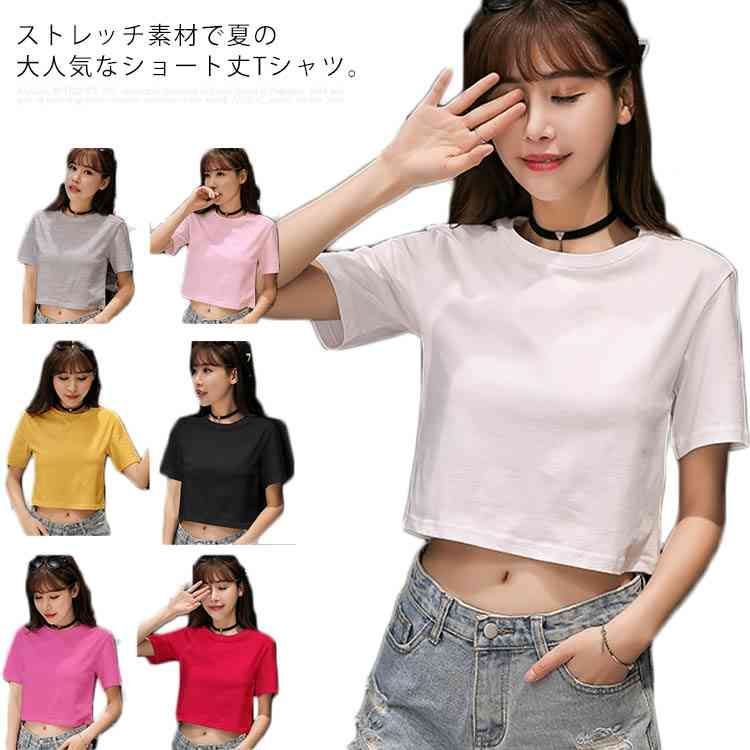 半袖 Tシャツ トップス コットン ショート丈 カットソー