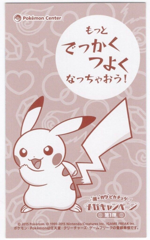 ポケモン 名刺カード 1弾 メガリザードンXのポンチョを着た