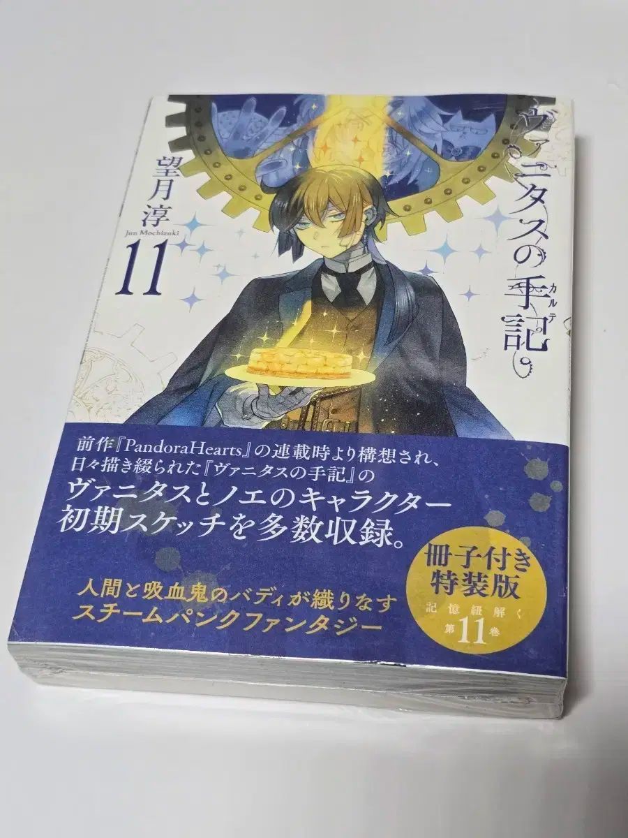 ヴァニタスの手記　1〜11巻　初版　特典付き ヴァニタスの手記(11)特装版 小冊子“Brocante”付き (ガンガン