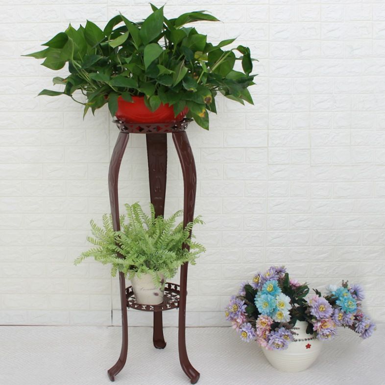 観葉植物