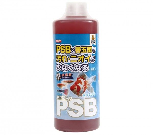 【同梱不可】【12個セット】 イトスイ コメット 納豆菌入りPSB 1000ml